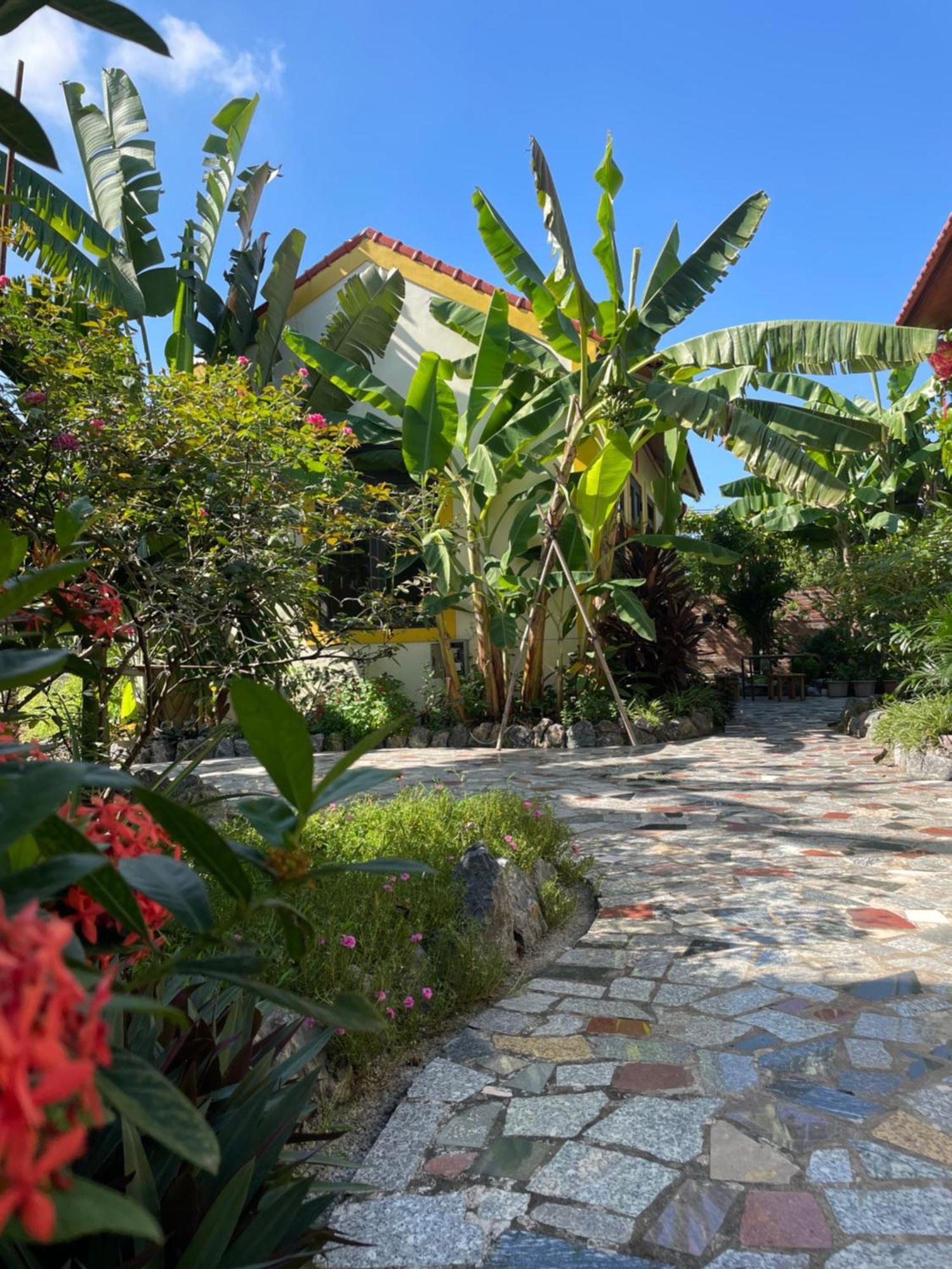 Ninh Binh Royal Homestay Kültér fotó